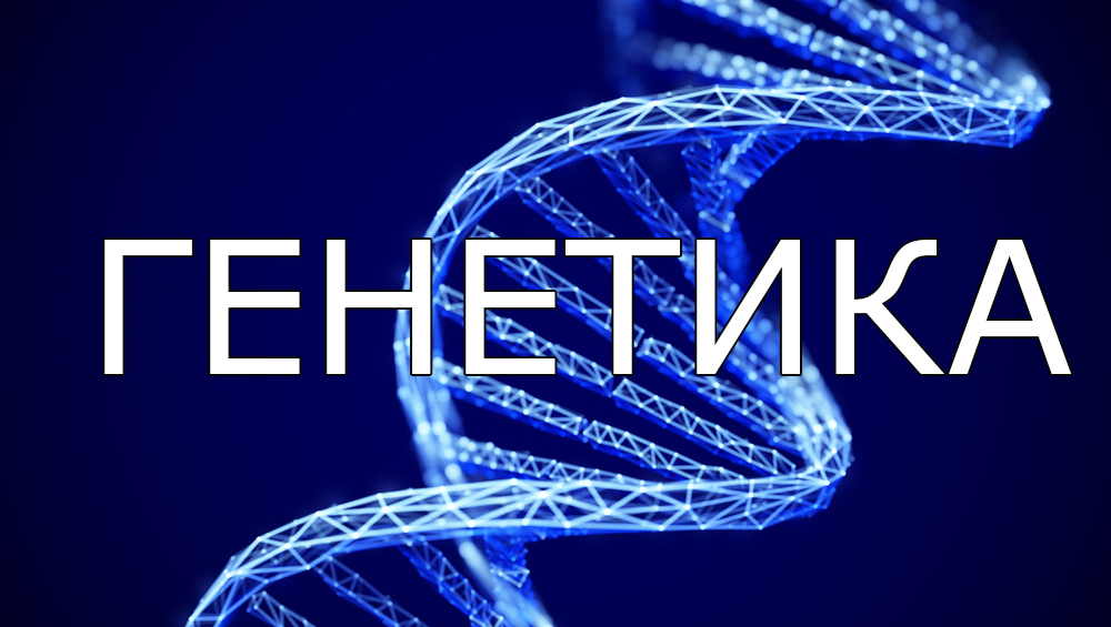 Генетика